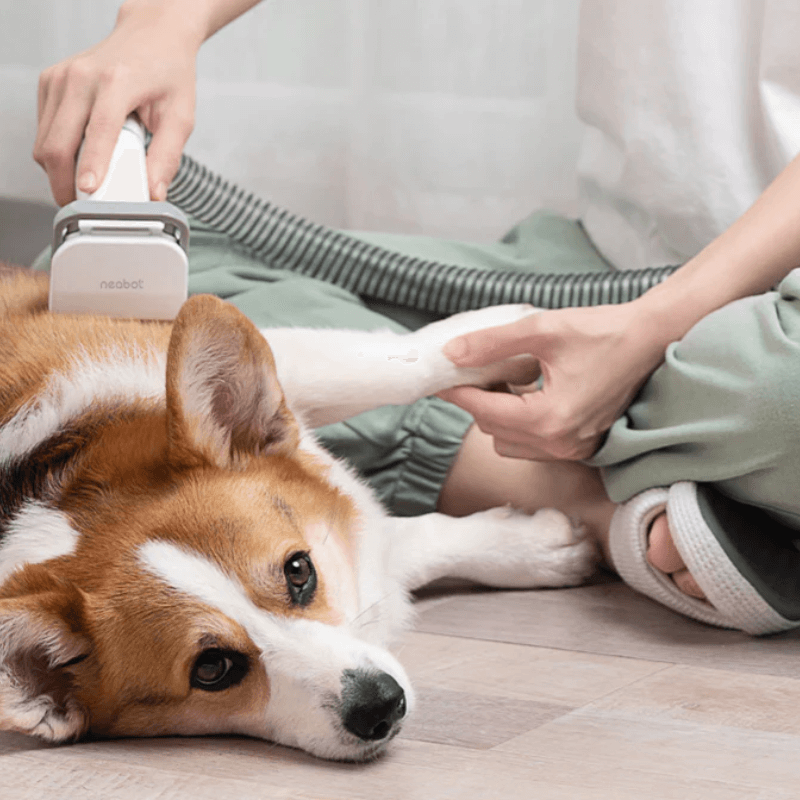 FreshPawz™ Pro Pet Groomer