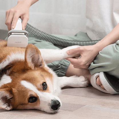 FreshPawz™ Pro Pet Groomer