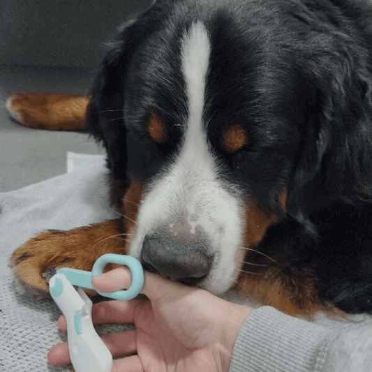 FreshPawz™ Pro Claw Trimmer